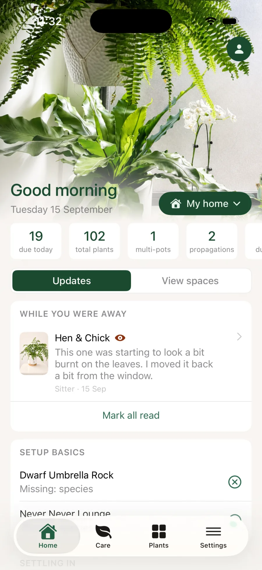 Liana home screen showing a plant sitter’s update waiting for the owner